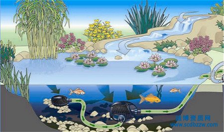 ��������԰���̻�������Ҫ������Ա��