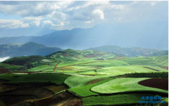 ��Ⱦ�޸��������������Ҫ�䱸��Щ��Ա